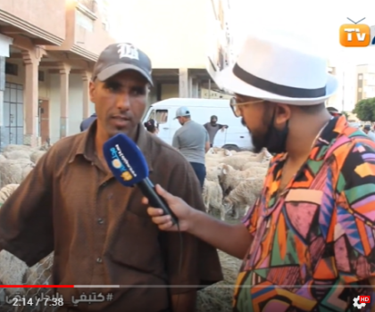 أجي تشوف الثمن شحال دير الحولي  في سوق  القنيطرة