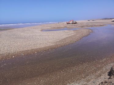 الحالة المزرية لمصب واد ام الربيع وصمة عار على جبين وزير التجهيز