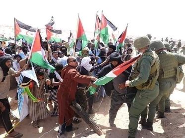 عاجل.. وأخيرا المغرب يتحرك ضد استفزازات عصابة البوليساريو