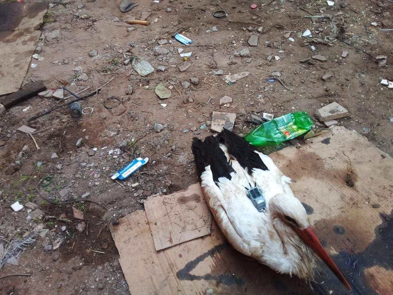 رجال السلطة بمدينة الجديدة يعثرون على لقلاق به جهاز GPS