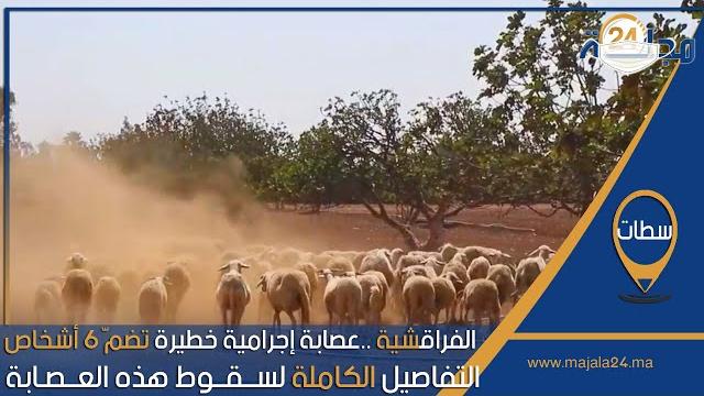 بالفيديو…التفاصيل الكاملة لسقوط عـصابة الفراقشية بسطات