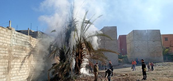 حريق مهول يلتهم أشجار النخيل ببيوكرى