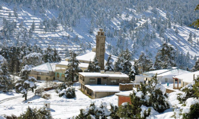 نشرة جوية خاصة.. أمطار وثلوج في عدد من مناطق المملكة