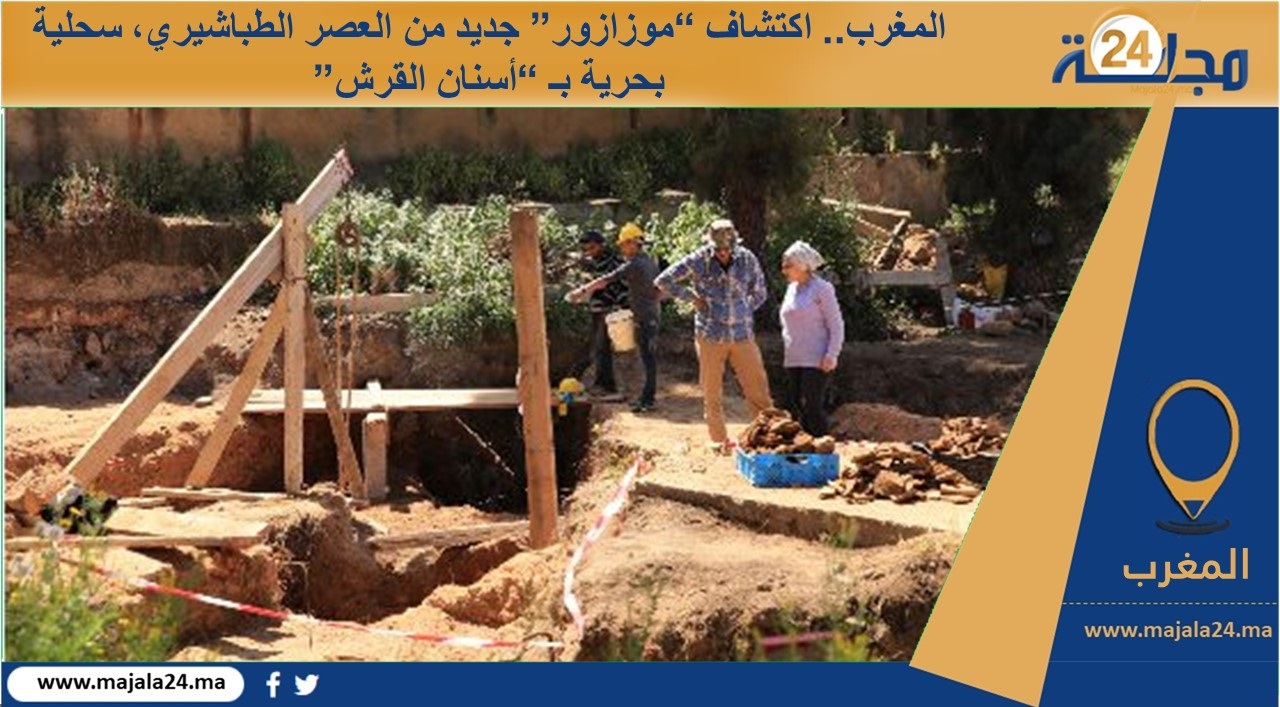 إكتشاف سحلية بحرية بـ “أسنان القرش” بالمغرب من العصر الطباشيري