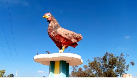 المحكمة تصدر قرارها في حق المتورطة في سرقة البيض من شركة برلماني