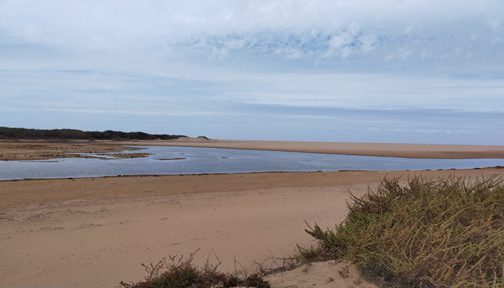 إنزكان…إنقاذ خمسة أشخاص كانوا محاصرين عند مصب واد سوس