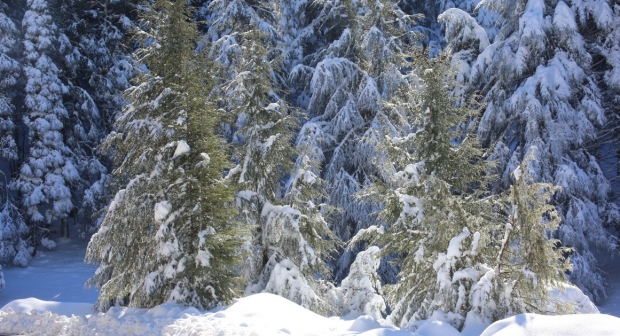 رياح قوية وتساقطات ثلجية مرتقبة بعدد من مناطق المملكة