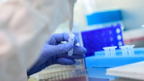 الجزائر: تسجيل 6 إصابات جديدة بالسلالة البريطانية و15 أخرى بالسلالة النيجيرية