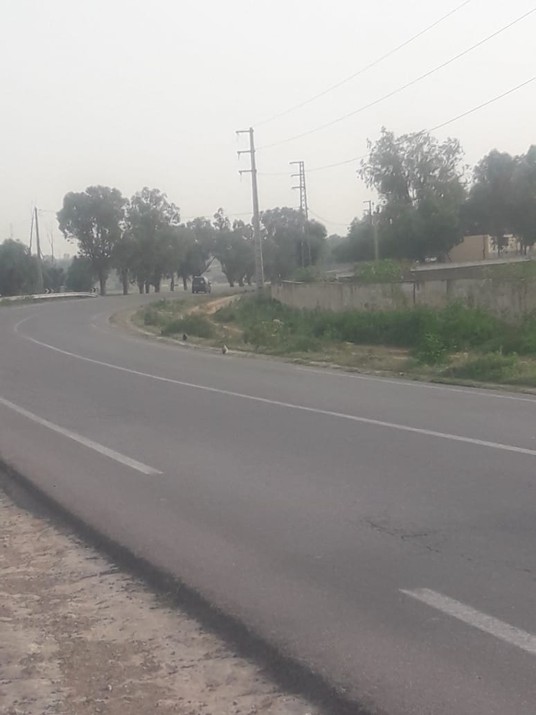 نزع علامة التشوير بين الجديدة و سيدي اسماعيل تدفع السائقين إلى الاحتجاج و المطالبة بفتح تحقيق