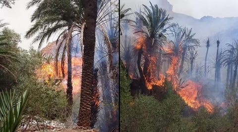 حريق مهول بواحة تيغمرت بكلميم يتسبب في خسائر ثقيلة