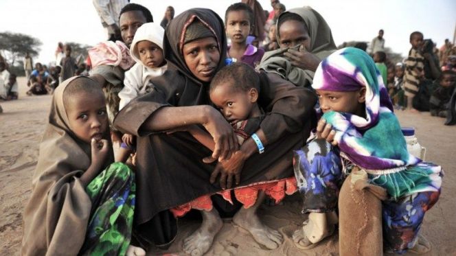 100 مليون شخص يواجهون المجاعة في إفريقيا