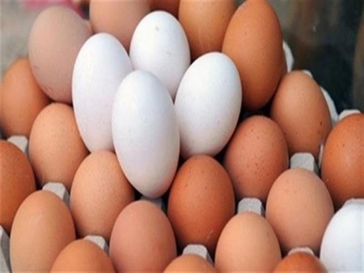 مادة البيض خلال رمضان ..تموين “طبيعي” وأسعار في مستوى “معقول”