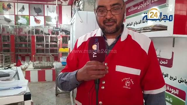 فيديو|من سطات…قبل دخول شهر رمضان. أسعار الدجاج ترتفع بشكل مخيف