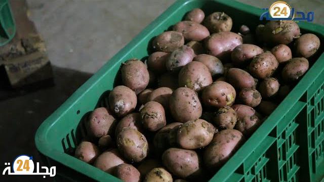 فيديو: انطلاق عملية تبريد الخضروات بجماعة سيدي العايدي