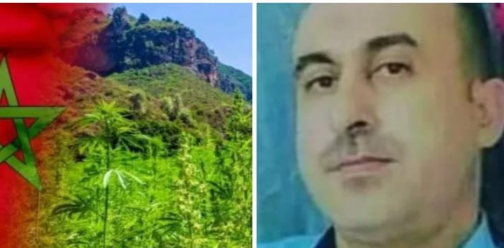 الأولوية للمناطق التاريخية في ظل مشروع تقنين الكيف جبر للضرر الجماعي وانصاف للساكنة القروية و الجبلية .