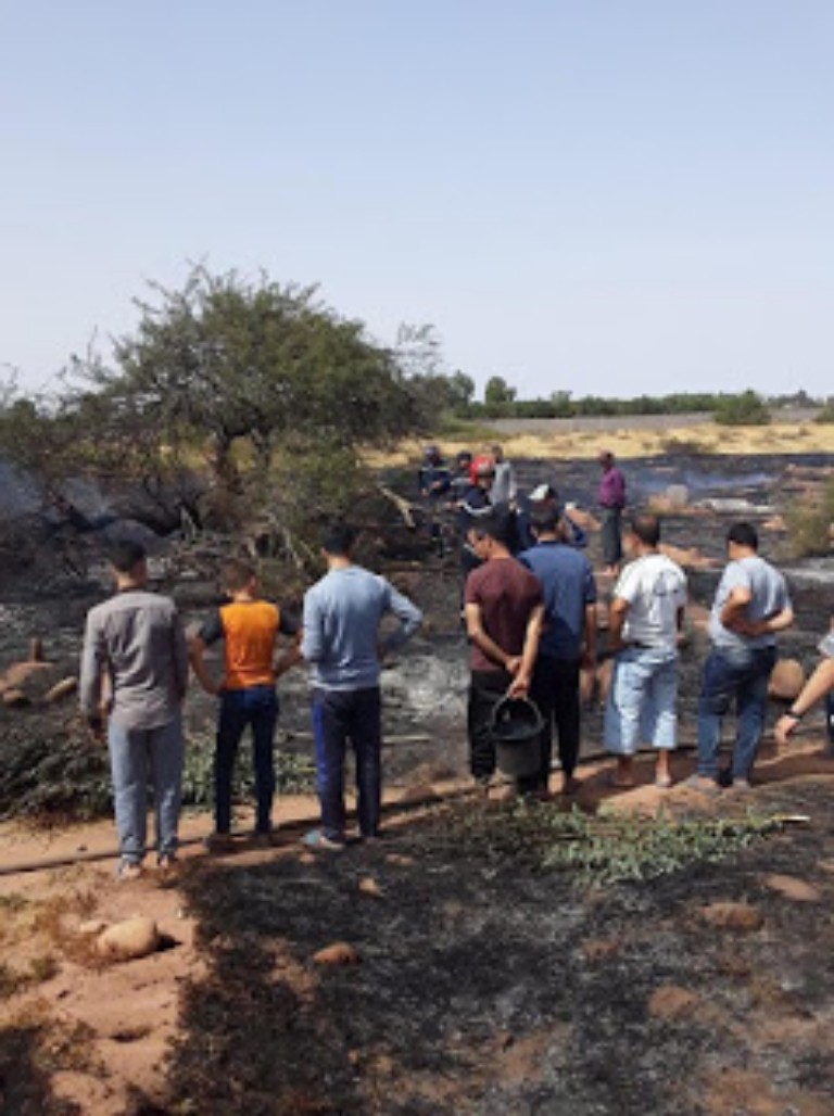 مجهولون يضرمون النيران بمقبرة بإقليم الحوز عند محاولتهم إستخراج عسل النحل.