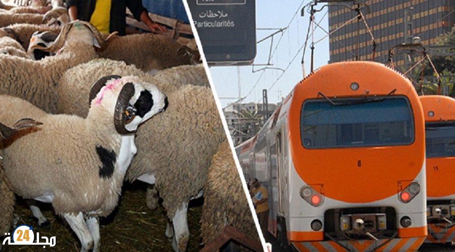 أيام قبل عيد الاضحى تشديد إجراءات التنقل بالقطارات