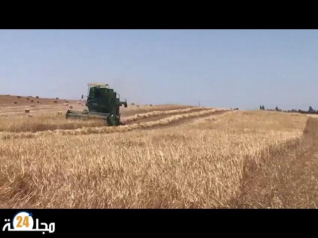 بالفيديو..هذه أجواء انطلاق موسم الحصاد 2021 بعاصمة الشاوية سطات