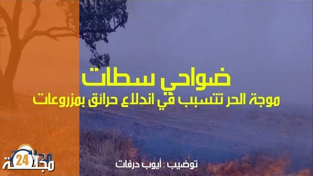 بالفيديو: حرائق تلتهم مزروعات ضواحي سطات بسبب موجة الحر