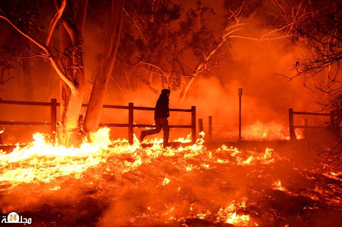 حرائق الغابات التهمت أكثر من 15 ألف هكتار في شمال كاليفورنيا