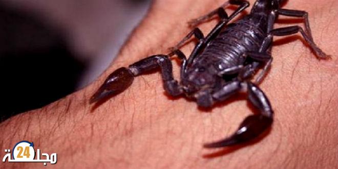 لسعة عقرب تنهي حياة طفل صغير