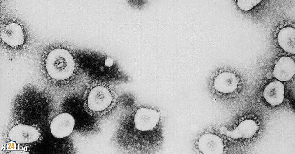 خبير: السلالة الجديدة دلتا عرف انتشارا متسارعا وسجل بعض الطفرات الجديدة في المغرب