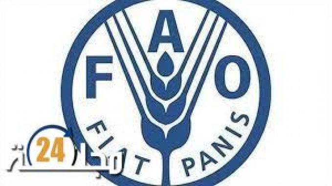 منظمة الفاو تحذر من أن وباء كوفيد قد يفاقم الجوع في العالم لفترة طويلة