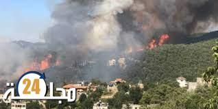 لبنان..حرائق تخرج عن السيطرة و تأتي على مساحات شاسعة