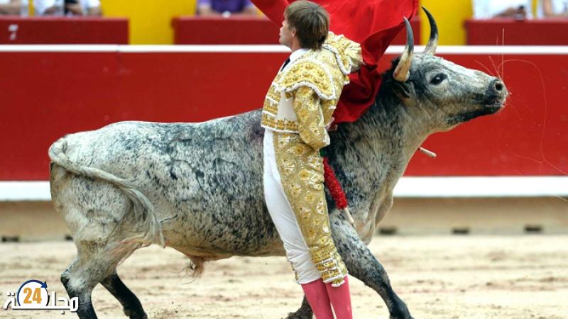 بسبب إسمي ثورين…مدينة خيخون الإسبانية توقف مصارعة الثيران