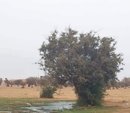 ساكنة حى العزيب بالقليعة تطلب رفع الضرر