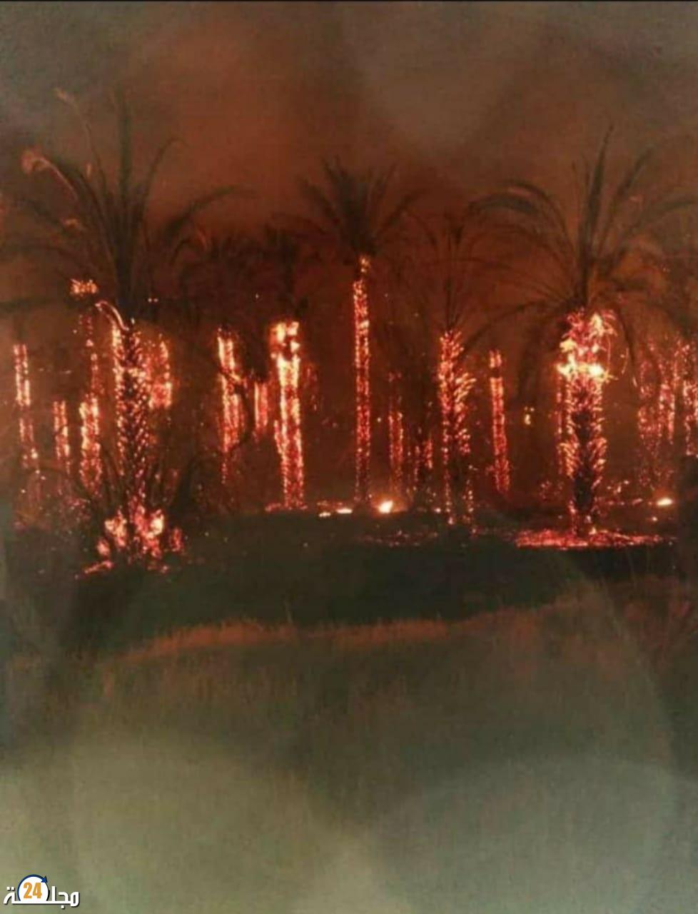 الحرائق تتسب في مأساة بيئية حقيقية بواحة اوفوس بإقليم الراشدية و الشوباني يطالب بالتدخل العاجل لجبر الضرر..