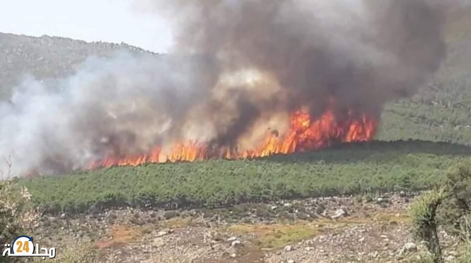 اندلاع  حريق على مستوى غابة “سكنا” بإقليم شفشاون