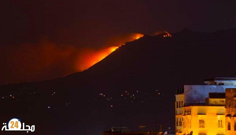 تواصل الجهود لإخماد الحريق الذي شب  في غابات شفشاون