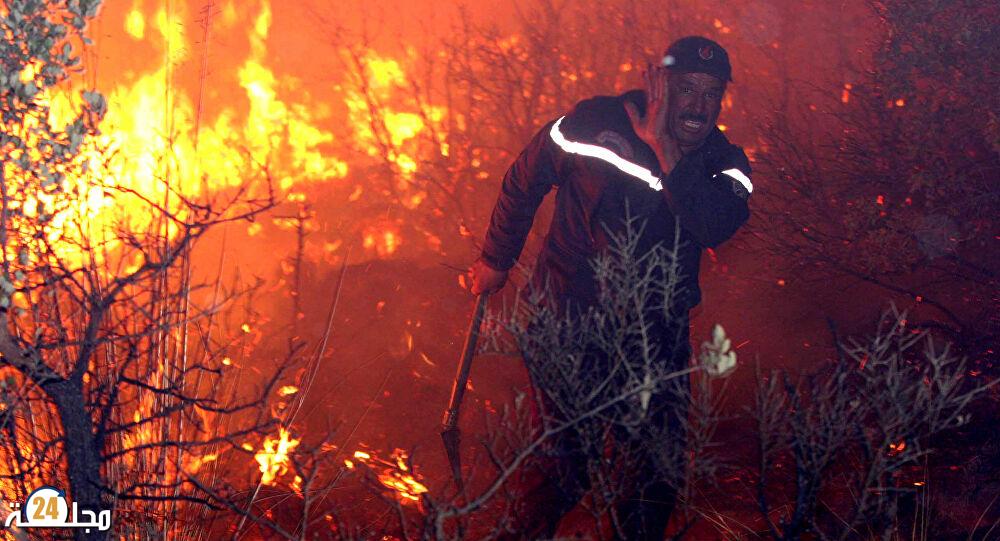 حصيلة جديدة.. مصرع 7 أشخاص في حرائق الغابات بالجزائر