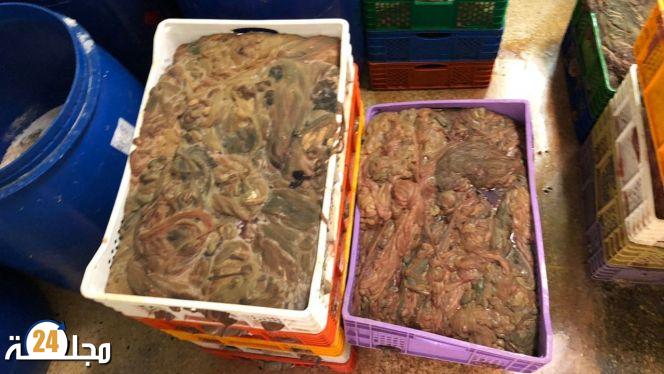 حجز مواد غذائية فاسدة تُستعمل في تحضير”الكاشير”