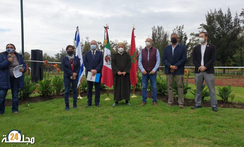 “التحدي الأخضر”..المغرب و إسرائيل ويشاركان في عملية تشجير في مكسيكو
