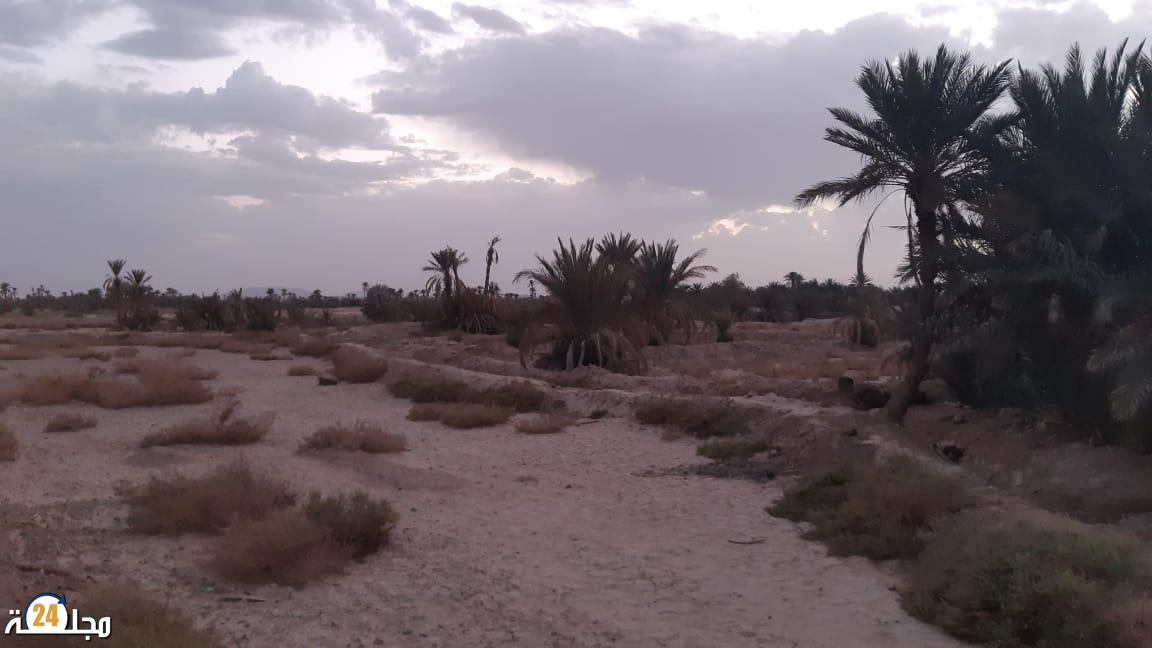 الريصاني: نذرة المياه الجوفية وانحصار الامطار تصعب من حياة السكان بواحة تافيلالت
