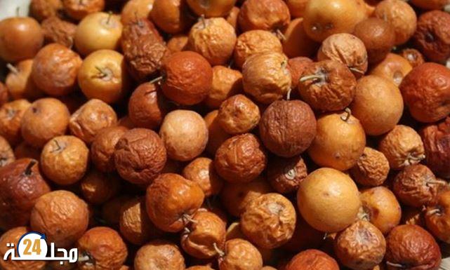 فوائد النبق