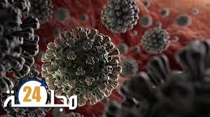 عالم أميركي يفجر مفاجأة بشأن “أصل كورونا”