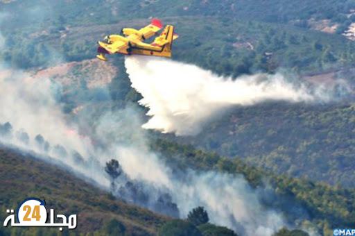 شفشاون: إعداد مشروع لتأهيل غابة “سوكنا”