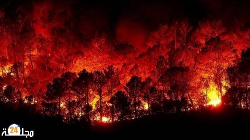 النظام السوري يعدم 24 شخصا في يوم واحد لتورطهم في إشعال حرائق بالغابات