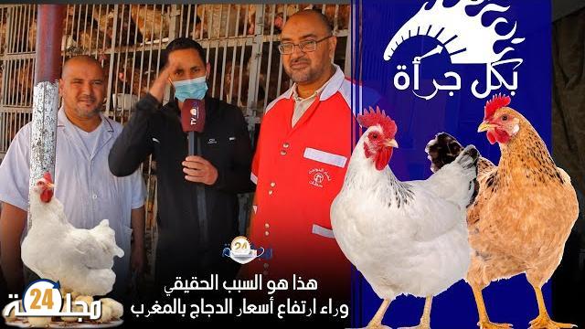 بالفيديو…السبب الحقيقي وراء ارتفاع أسعار الدجاج