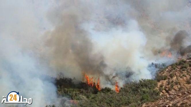 النيران تلتهم هكتارات من واحة تنالت باشتوكة