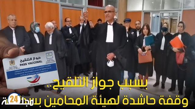 بالفيديو…بسبب جواز التلقيح.. وقفة حاشدة لهيئة المحامين بسطات