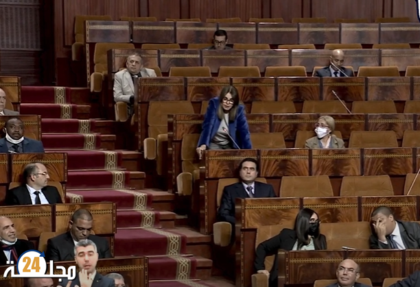 بالفيديو..نقاش داخل قبة البرلمان بخصوص واقع العمل بالمجال المسرحي