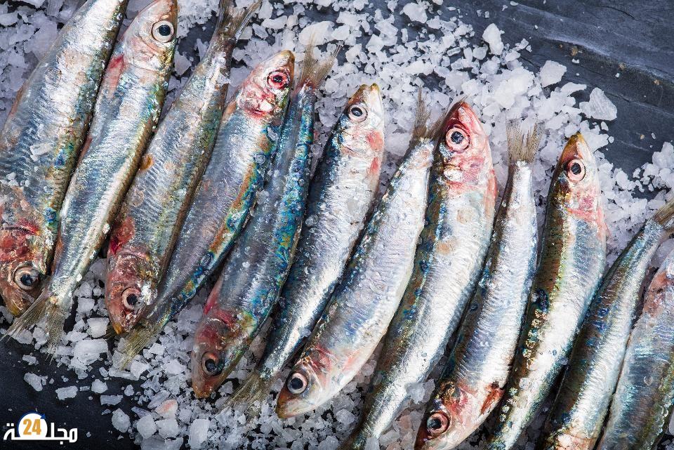 أكل السردين مرتين في الاسبوع يحميك من أمراض القلب