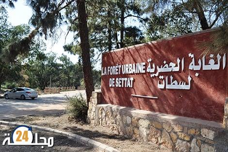 هل تضع مافيات العقار و الاستثمار المتوحش الشريط الغابوي بالمدخل الشمالي لسطات نصب أعينها؟
