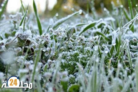 أحوال الطقس غدا الأربعاء..جو بارد مع تكون صقيع فوق المرتفعات