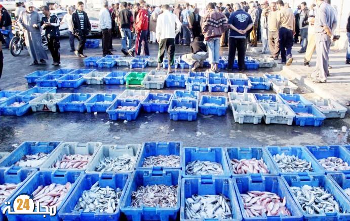 الانتاج السمكي في المغرب يحقق رقم معاملات قياسي