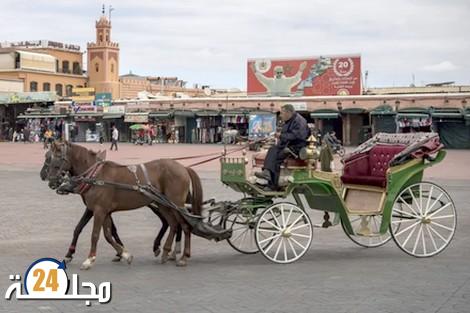 قطاع السياحة.. المصادقة على مشروع مرسوم لفائدة المتضررين من تداعيات كوفيد-19